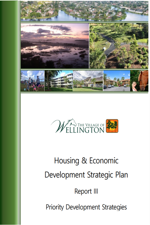 2018 The Village of Wellington Housing and Economic Priority Development Strategies 