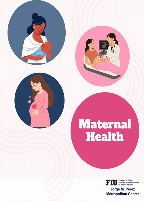 Maternal Health Infographic